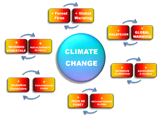 diagrama flujo climate change global warming forest fires